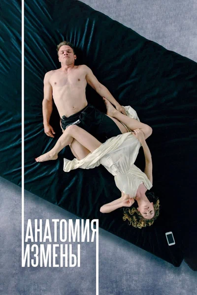 Постер: Анатомия измены
